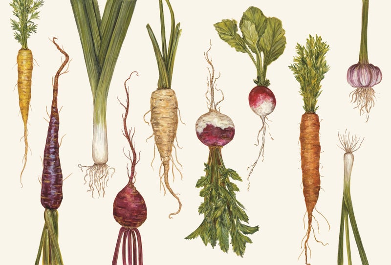 Hester & Cook Paper Placemat, Pad of 18 - Natural Farmer's Market - Image 2